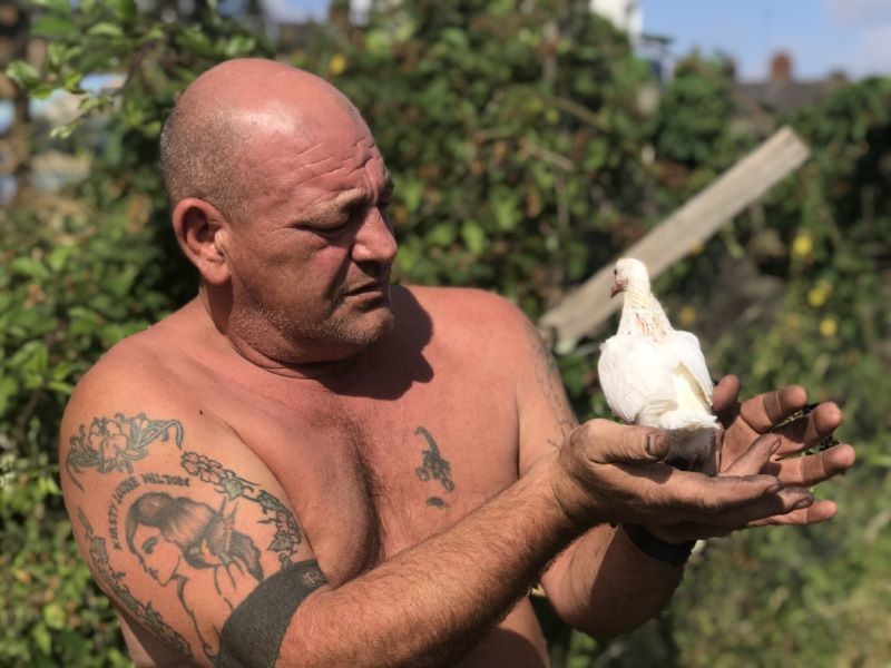 Other image for Arsonist’s ‘disgusting’ attack kills 30 birds